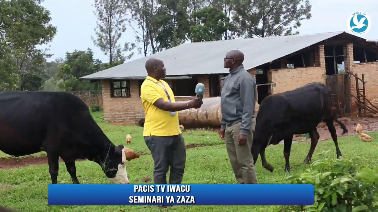 PACIS TV IWACU :SEMINARI YA ZAZA IBYISHIMO BYA KRISTU UMWAMI
