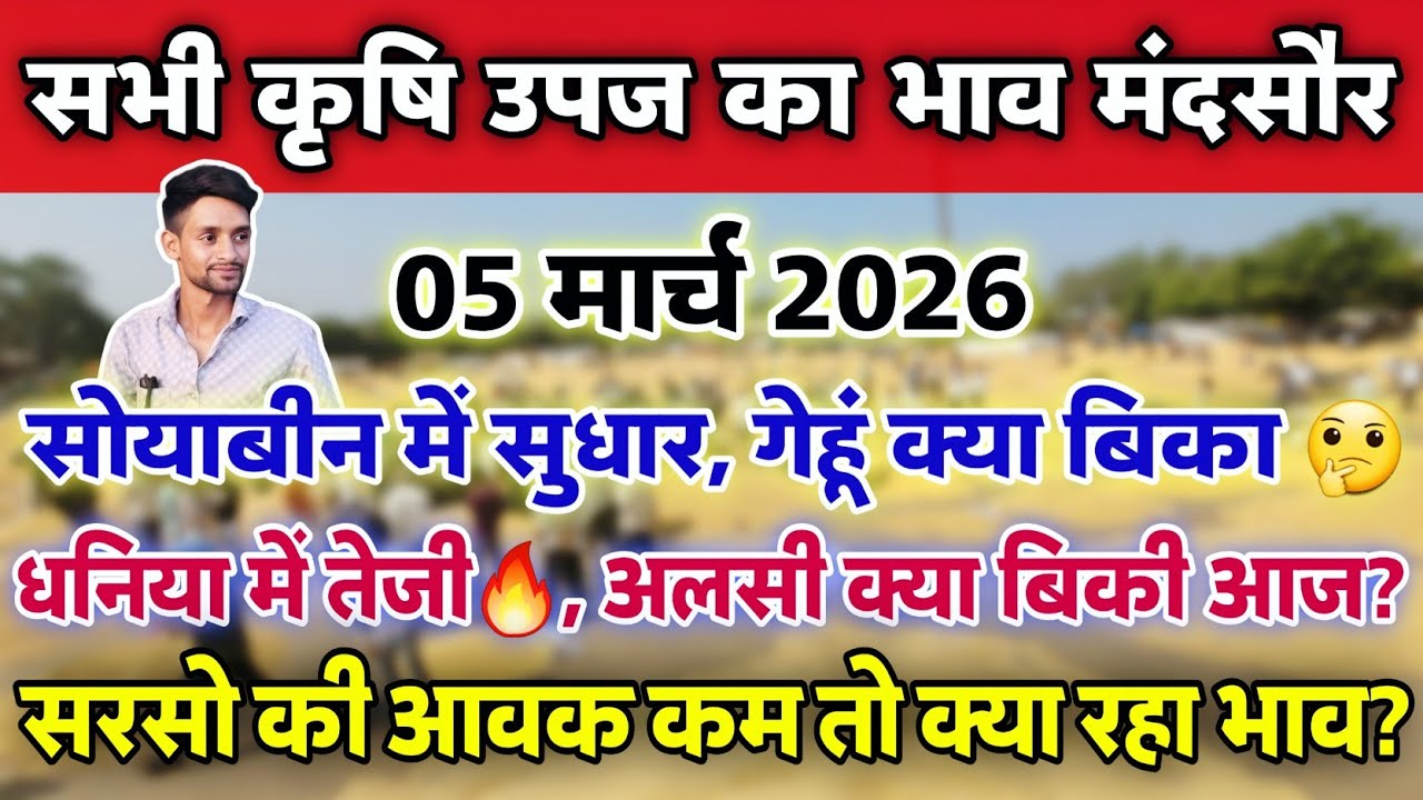 सभी कृषि उपज का भाव मंदसौर मंडी 5 मार्च 2026 | Mandsaur Mandi ka bhav #mandsaur_mandi_bhav 