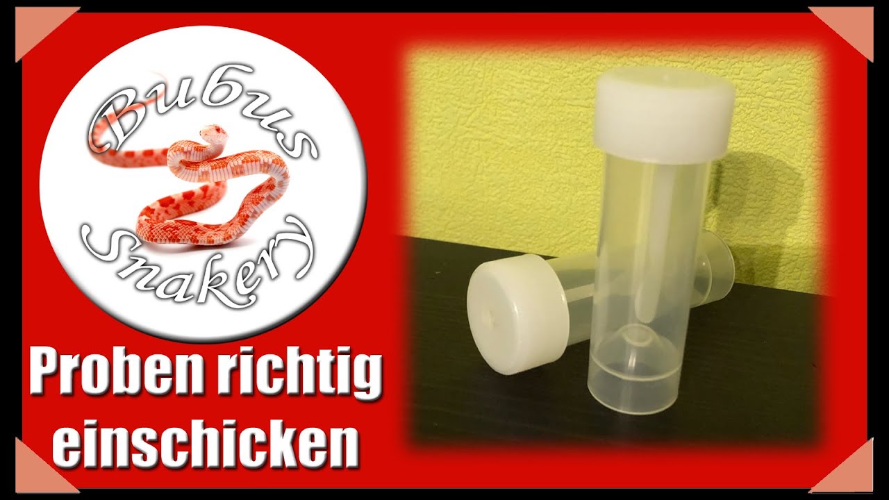Kotproben & Tierkörper richtig ins Labor schicken