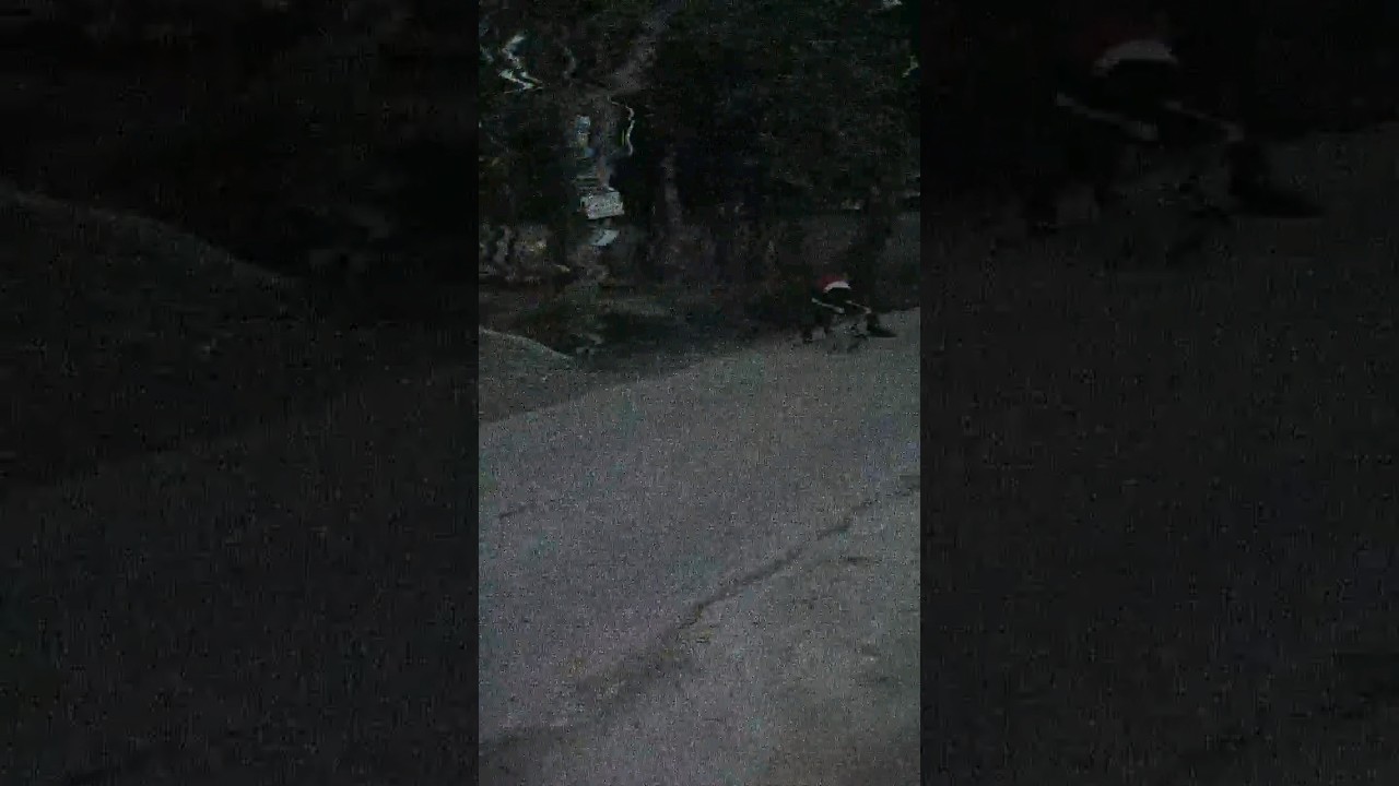 Skating high jump fail but I am unstoppable. 😎😎#skateshoes #skatejump #skating #skate