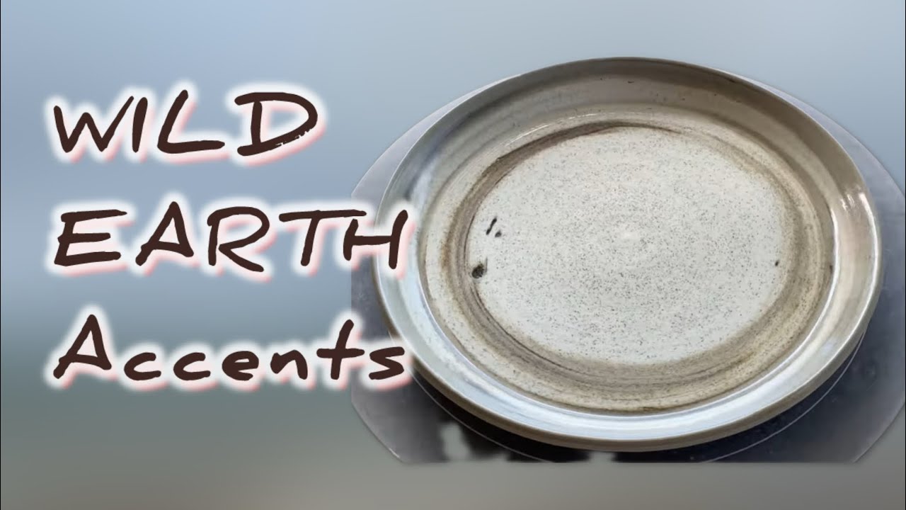 Full Process Dinner Plate with WILD CLAY Effects: ASMR