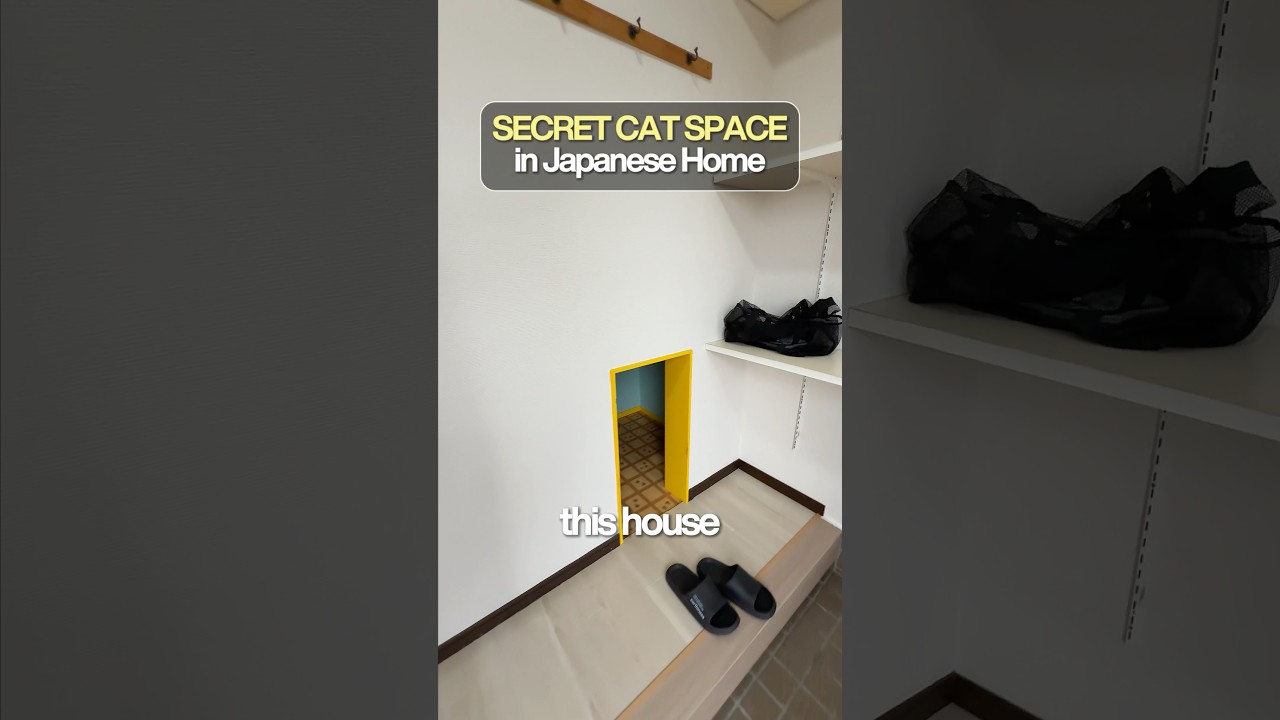$108K House With a Secret&hellip; Nyan! 🐱 #AkiyaHub #JapaneseHouse #VacationHome #Japan #Cat