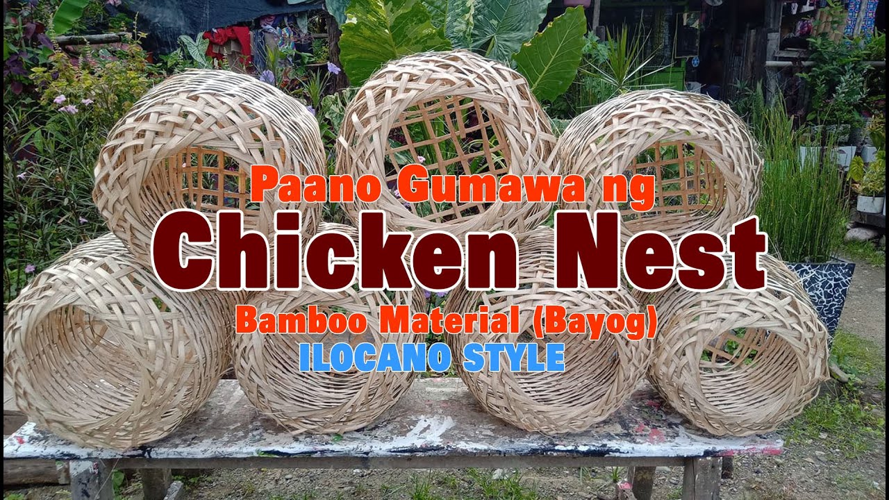 Chicken Nest || How to make a chicken nest || Paano gumawa ng paitlogan