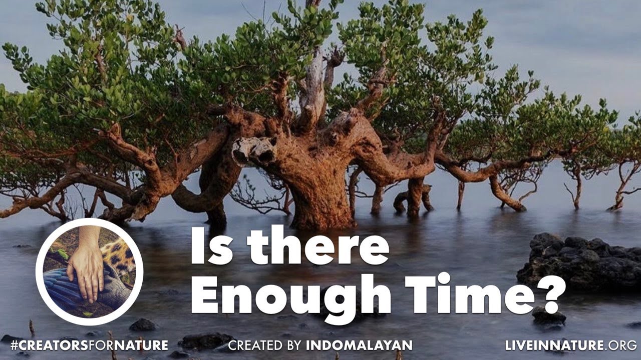 Is there Enough Time? An Eye Opening Nature Film | 4K