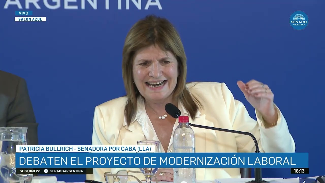 SENADORA PATRICIA BULLRICH 2 - PLENARIO DE TRABAJO Y PRESUPUESTO 18-12-25