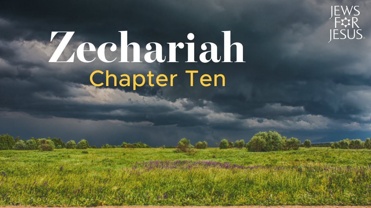 Lord of all the earth... and some bad shepherds (Zechariah 10)