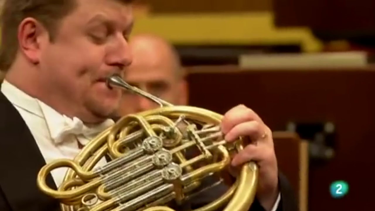 Strumenti Musicali 4 :  Gli Aerofoni 2 - Gli Ottoni