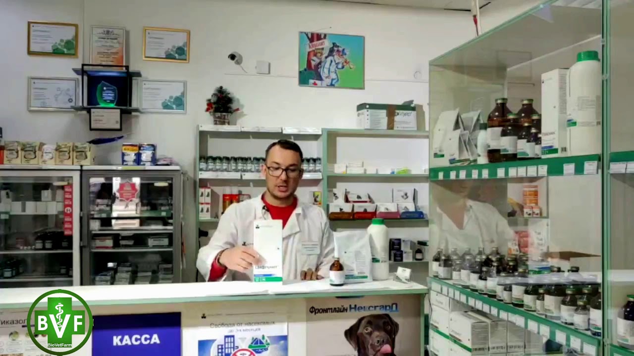 Чем глистогонить сельхоз животных? Ивермек, Альвет, Мерадок. Обработка от клещей и чесотки.