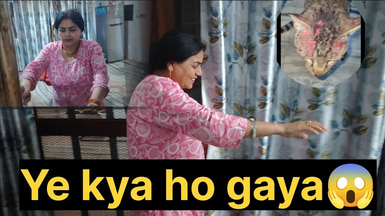Yeh kya ho gaiya!😱 बिल्ली ko Lag Gai chot