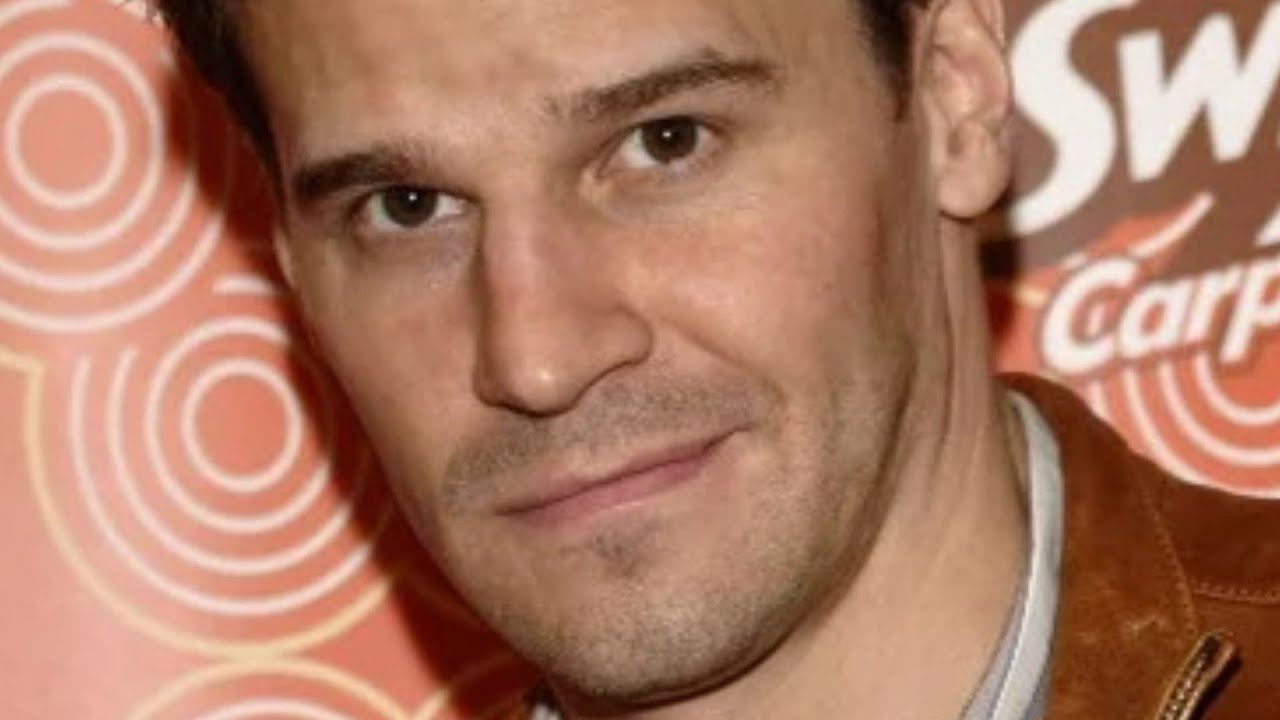 The Transformation Of David Boreanaz