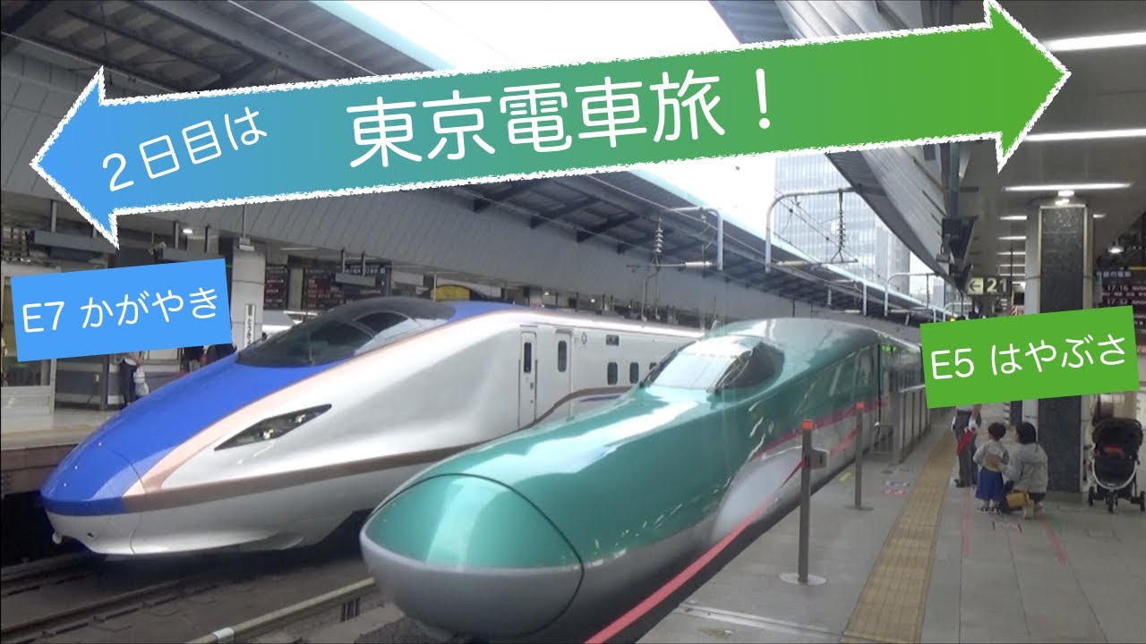 【新幹線・ママ鉄・子鉄】日本に１つしかない踏切！？東京電車旅！