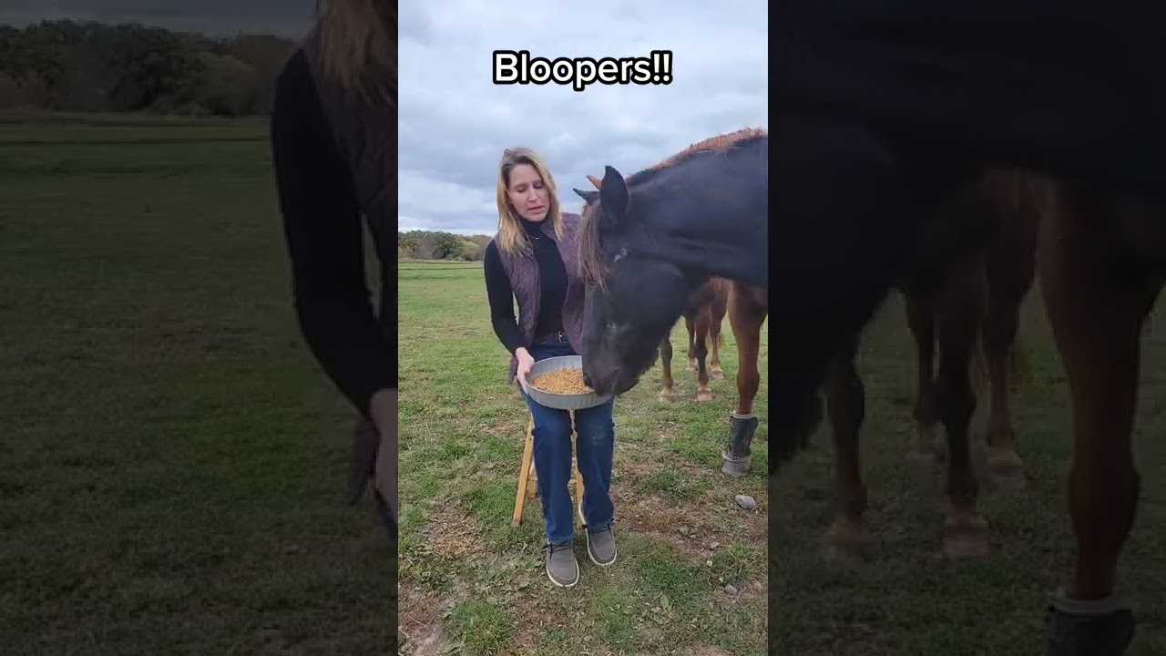 Q&A Bloopers!
