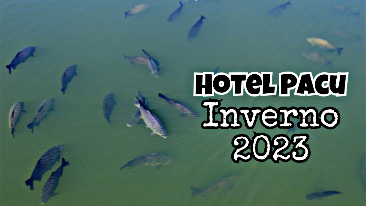 HOTEL PACU - Uma média IMPECÁVEL para o INVERNO 2023!