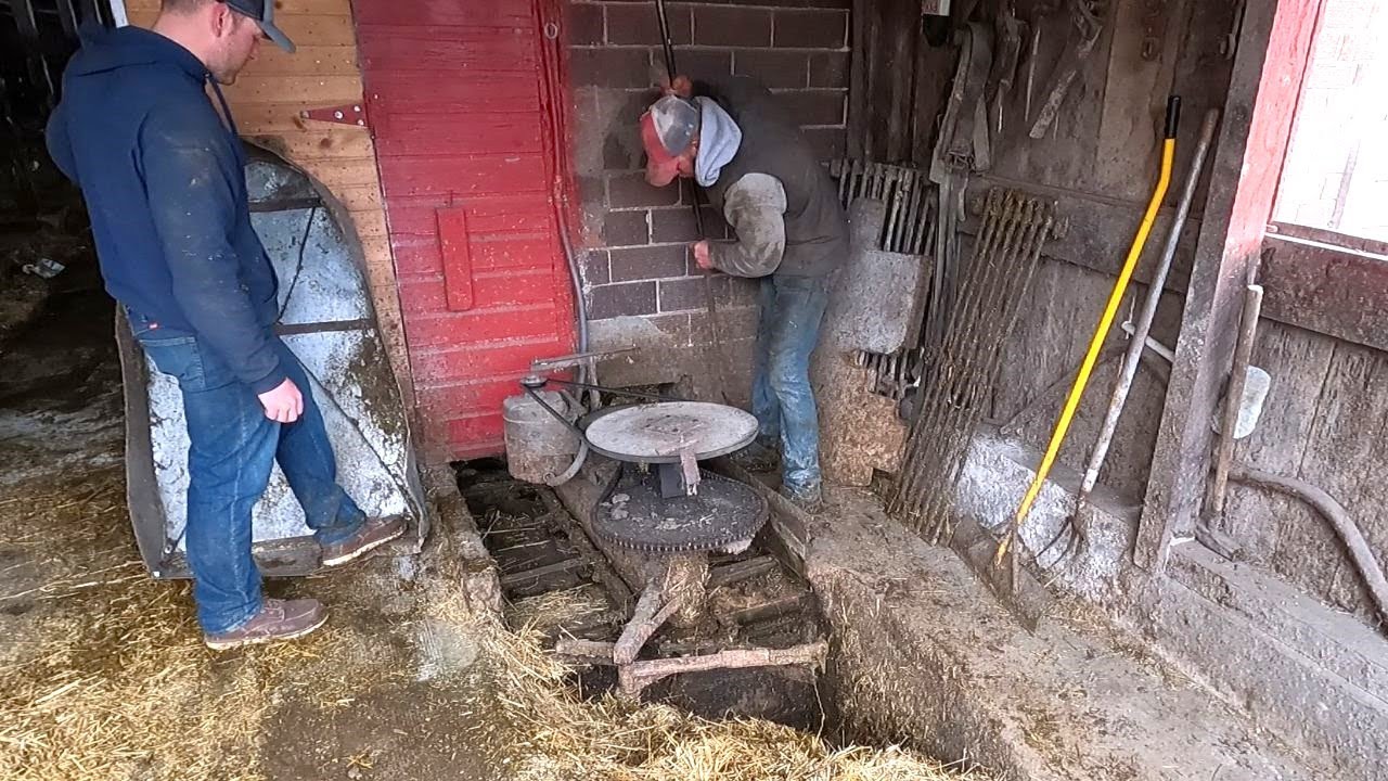 Trouble in The Dairy Barn! Barn Cleaner Breakdown!