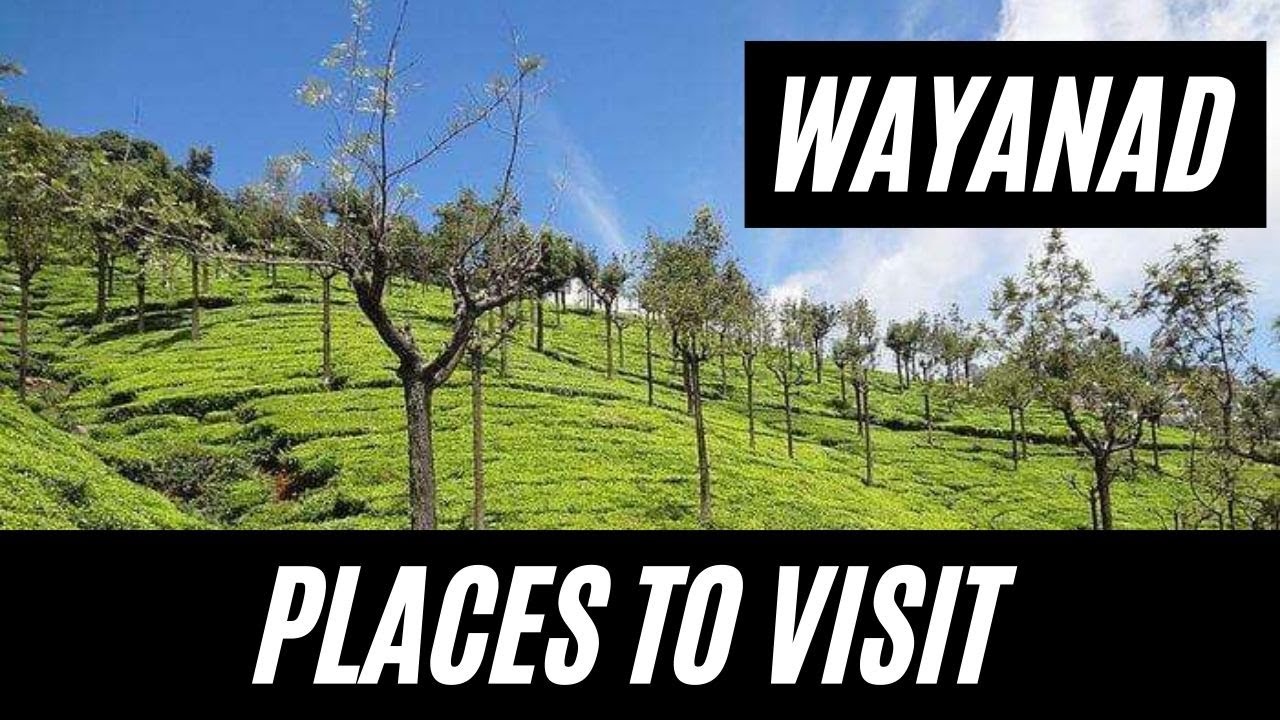 PLACES TO VISIT OR THINGS TO DO IN WAYAND|WAYANAD TRAVEL GUIDE | VLOG #47