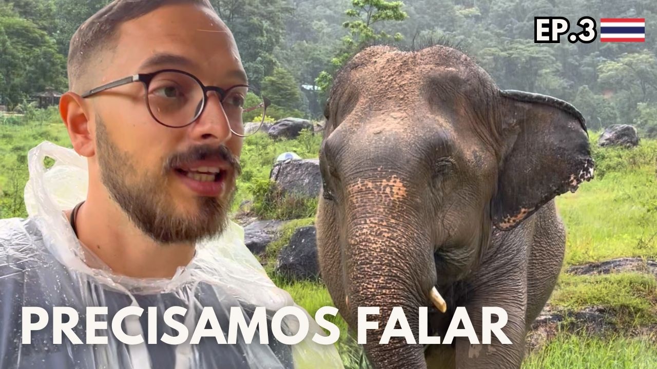O Que o Turismo Está Fazendo com os Elefantes da Tailândia