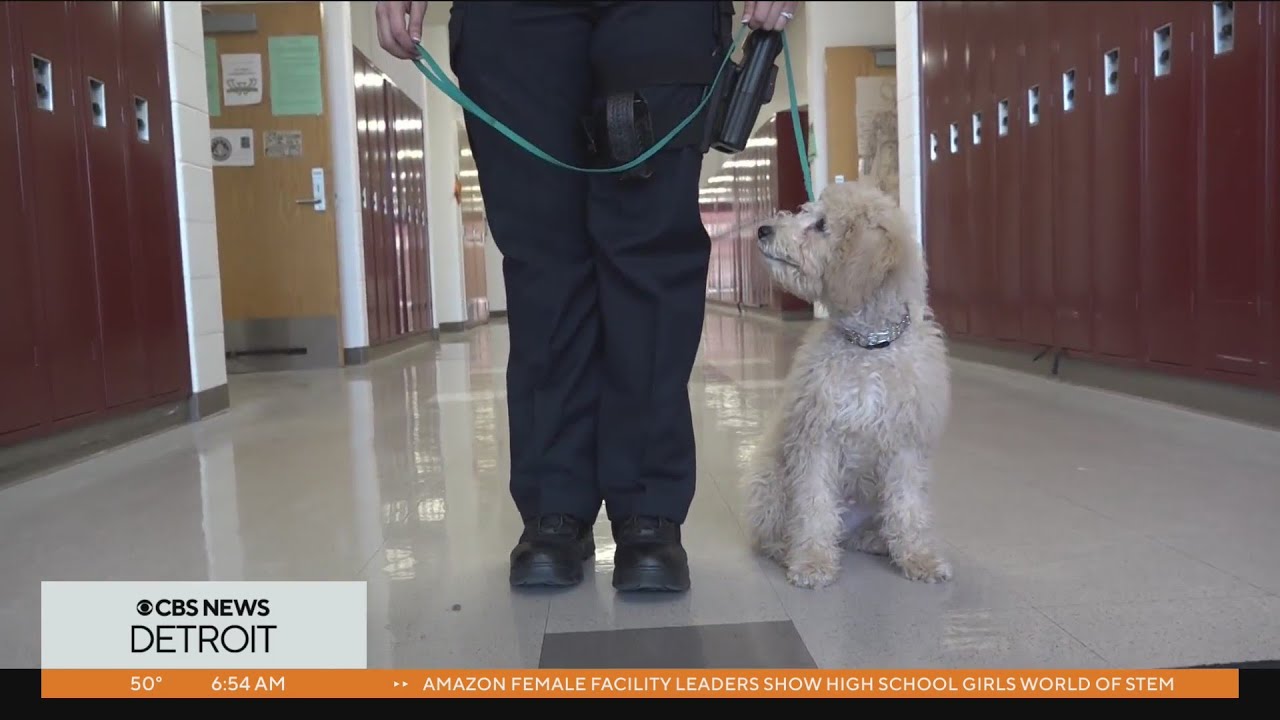 Southgate Community Schools welcomes new comfort dog
