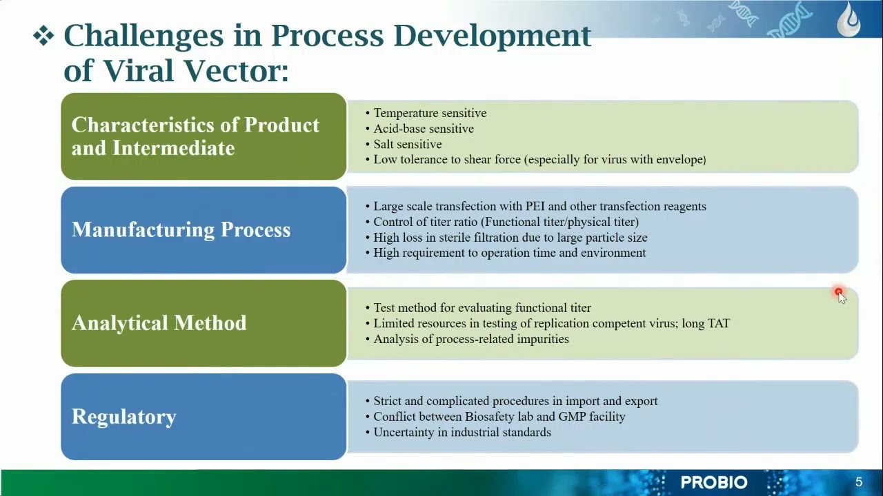 Lentivirus vector manufacturing using suspension cell line