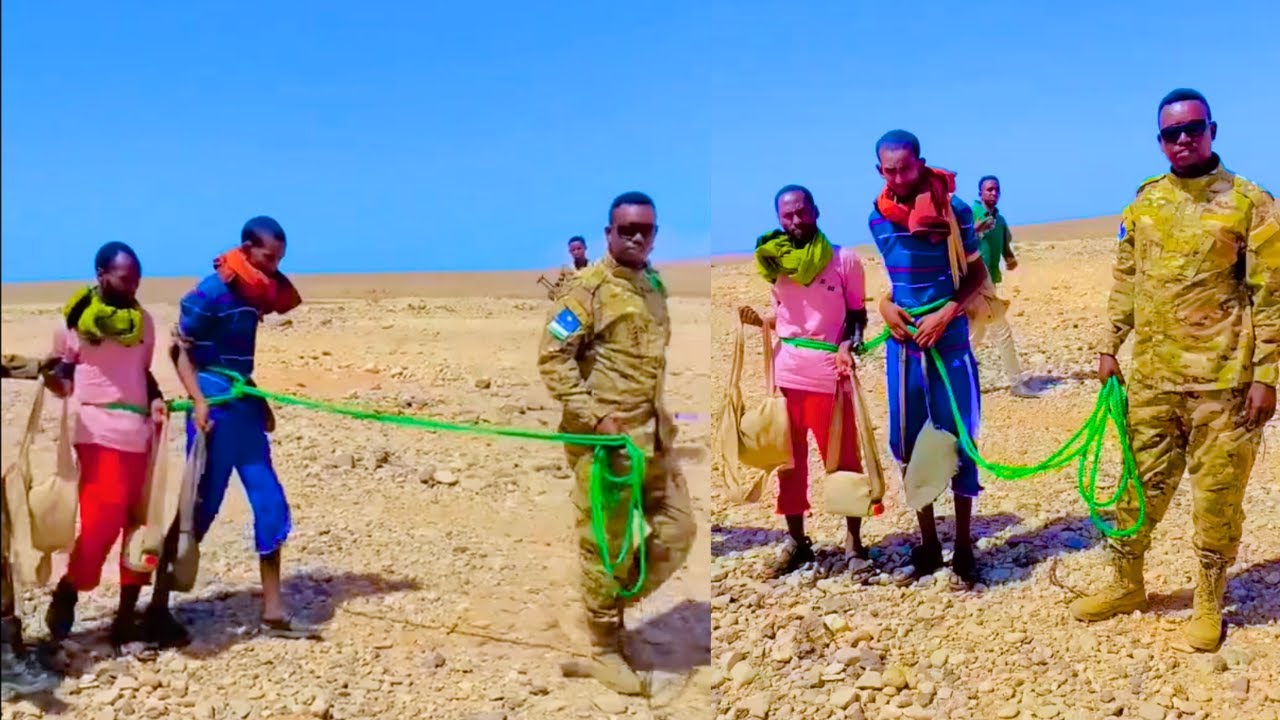 Daawo Ciidamada Puntland Oo Sida Adhiga Usoo Xidh Xidhay Daacish