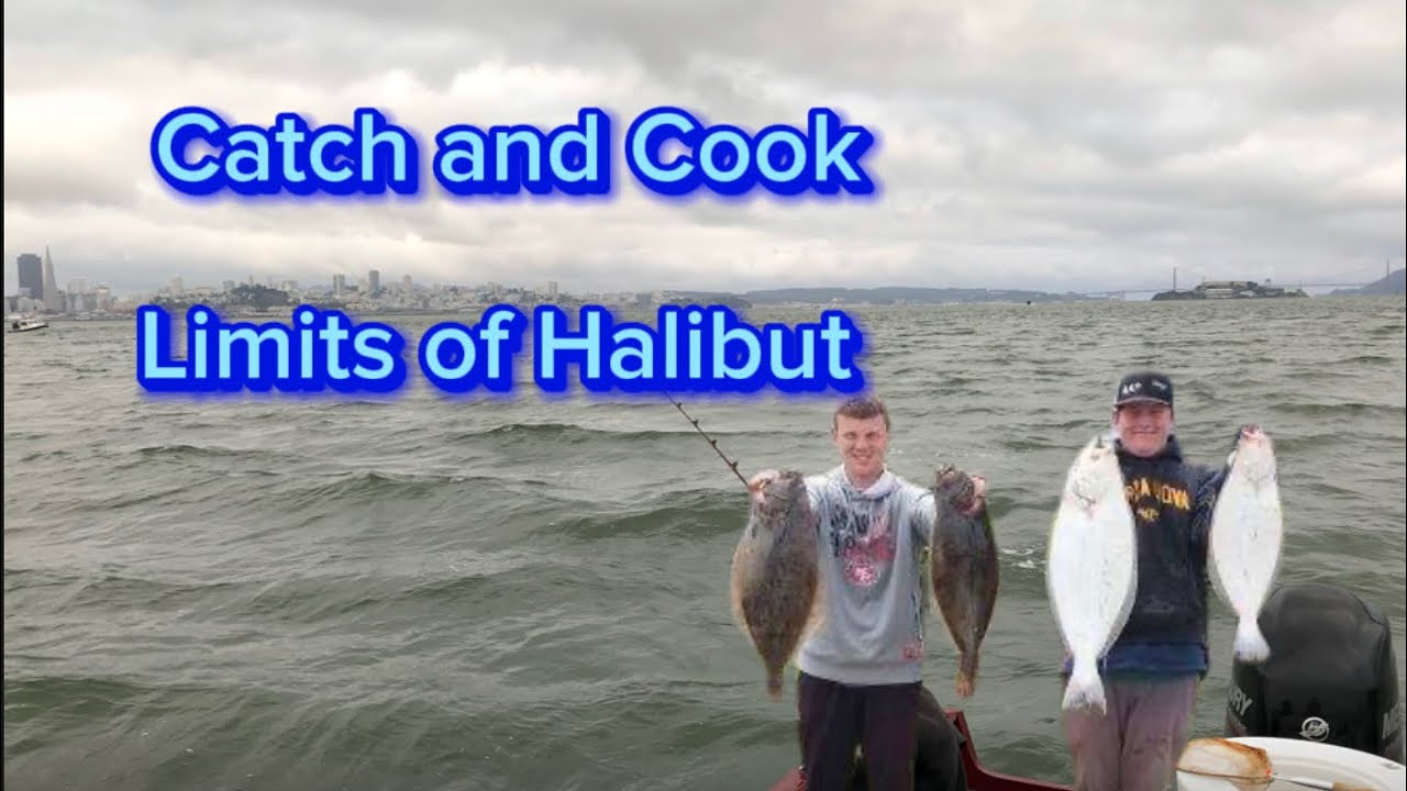 Catching Limits of Halibut in the San Francisco Bay