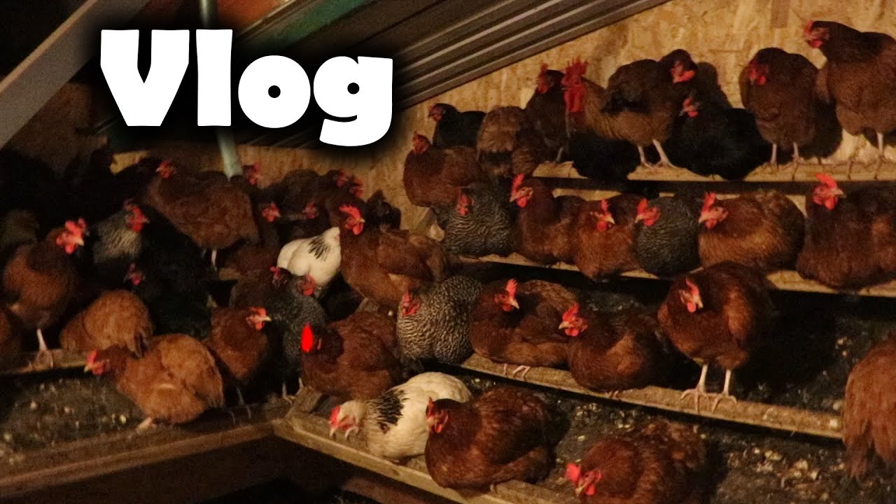 Ile kur jeszcze tutaj wejdzie ? - VLOG