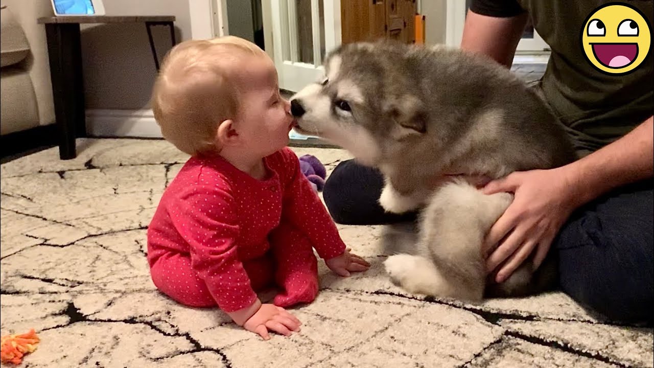 🐶 💞 