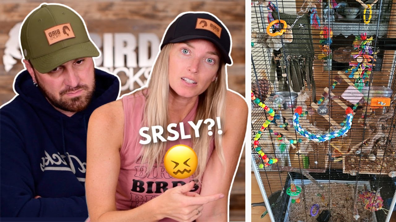 Reviewing Our Subscribers Bird Cage Set Ups | Part 2