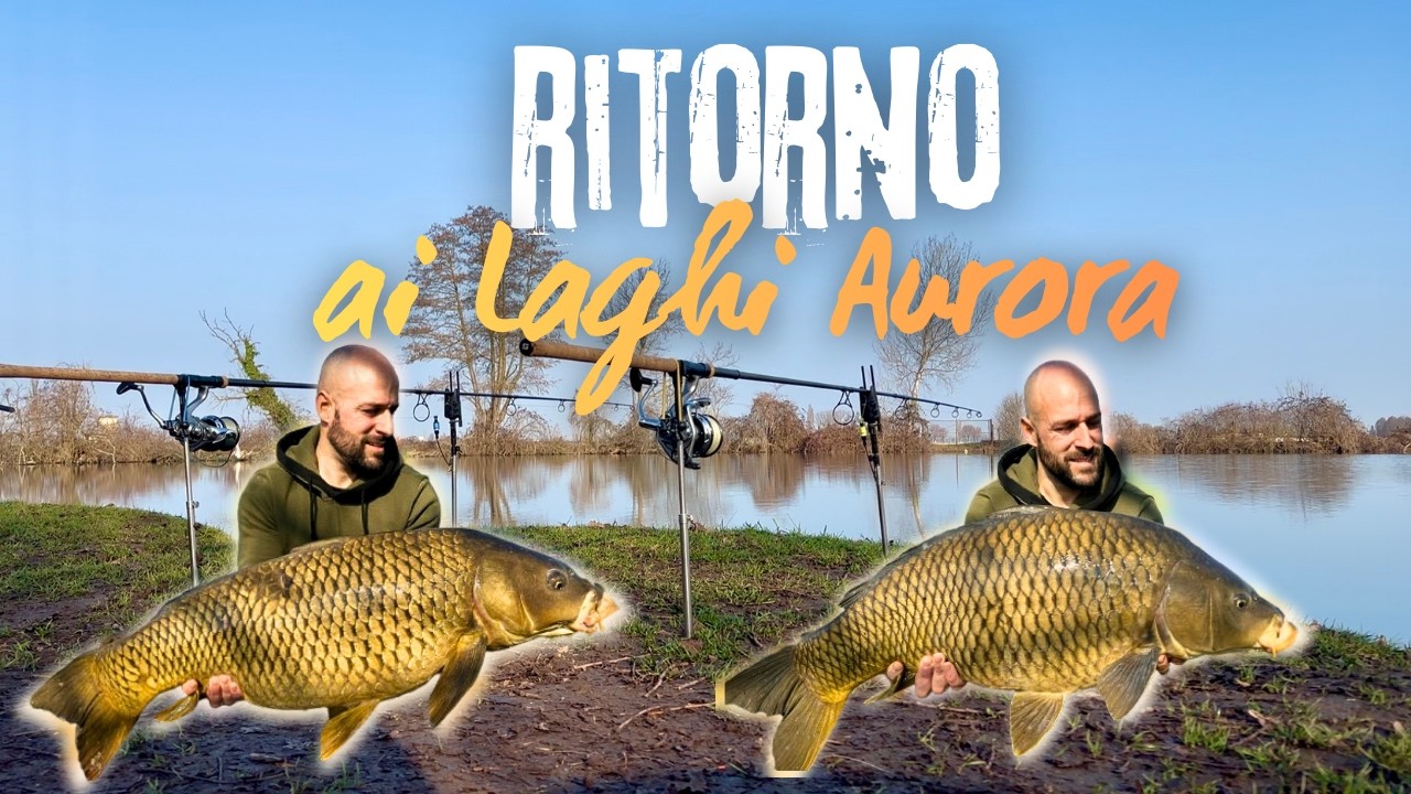 CARPFISHING 2026 - RITORNO AI LAGHI AURORA