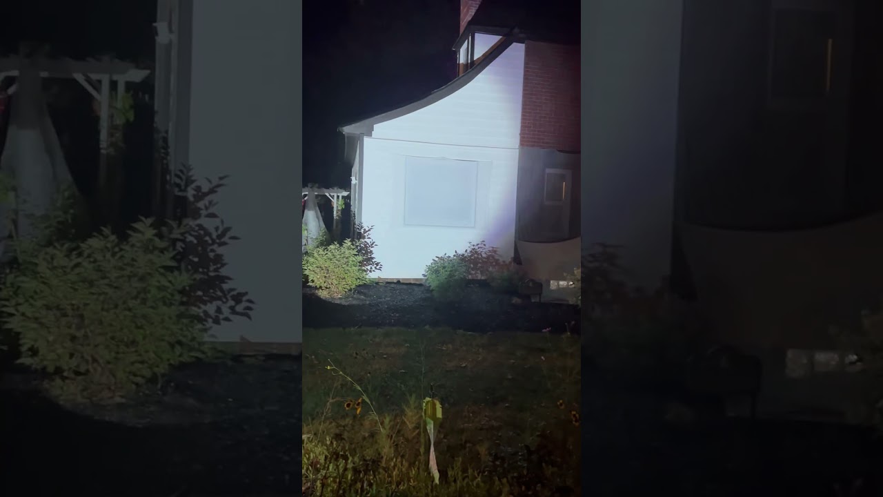 Ultimate Guide to Halloween Projection Videos Setup 2025: Tips & Tricks!