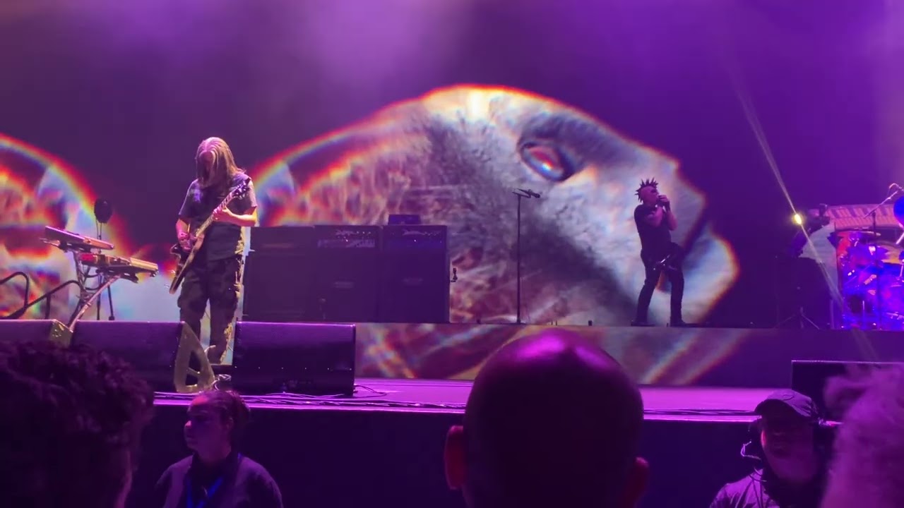 Vicarious - Tool (LIVE AT RAC ARENA, PERTH 2025)