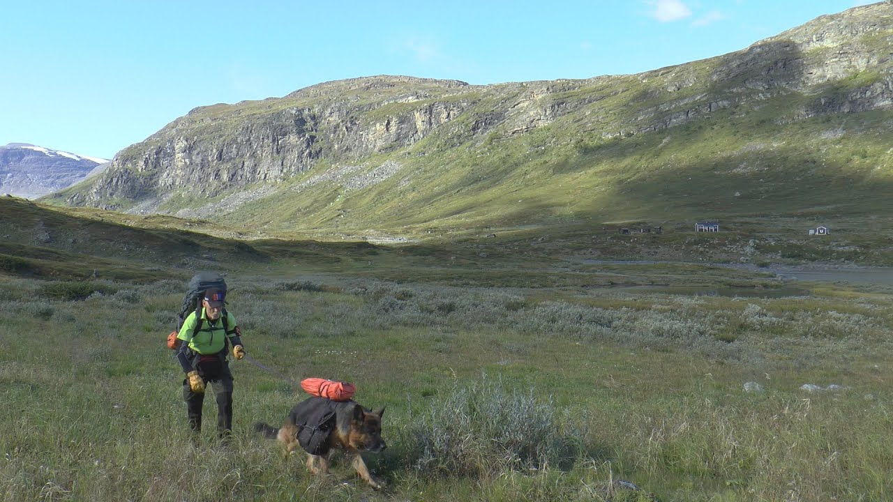 Fjällvandring Abisko 2023