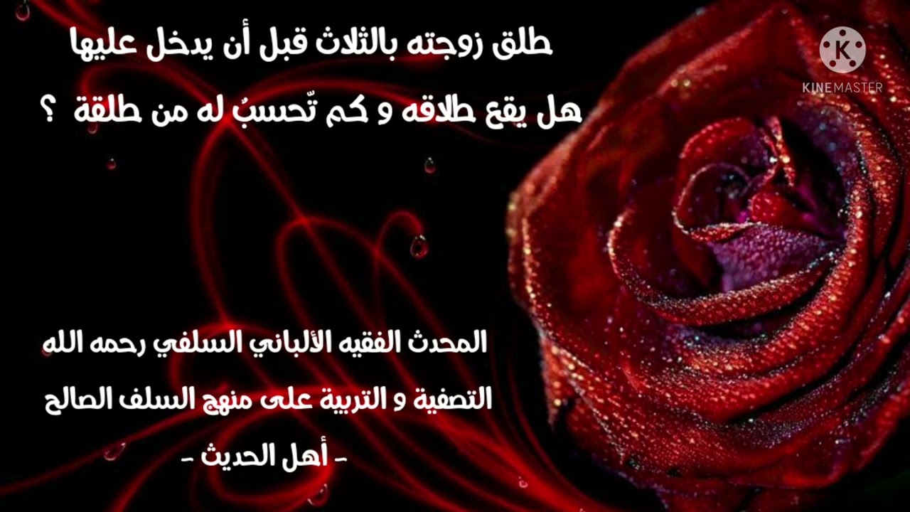 الإمام الألباني السلفي رحمه الله طلق زوجته بالثلاث قبل أن يدخل عليها هل يقع طلاقه وكم تّحسبٌ له ؟