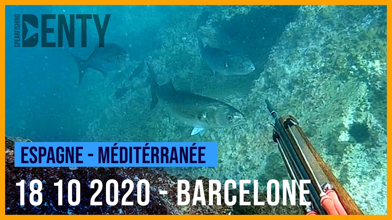 Chasse sous-marine automnale &agrave; Barcelone.