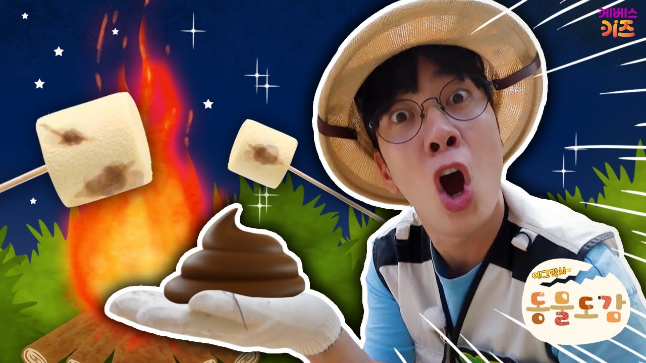 낙타 똥으로 마시멜로 구워 먹기?ㅣ낙타ㅣ에그박사의 동물 도감ㅣKBS 250826 방송