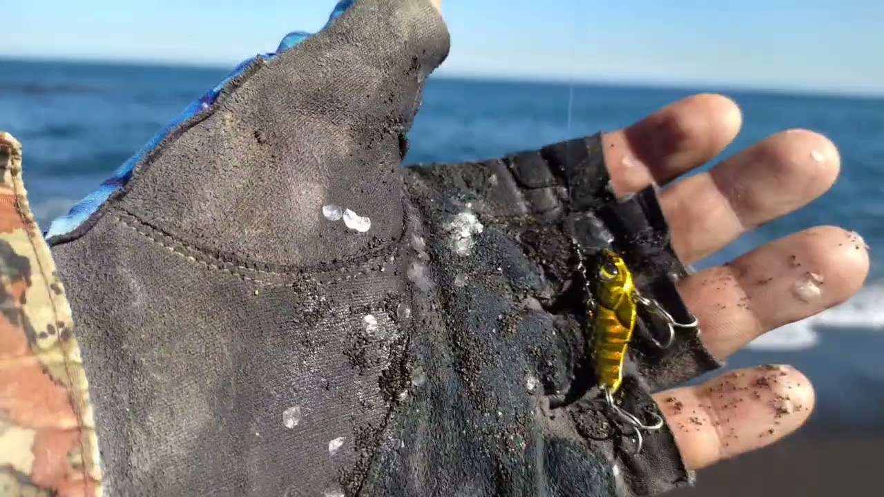 22 • PESCA LIGERA 🇨🇱 🎣 Pejerrey de Mar🔥🎣 // Playa Maule - Coronel