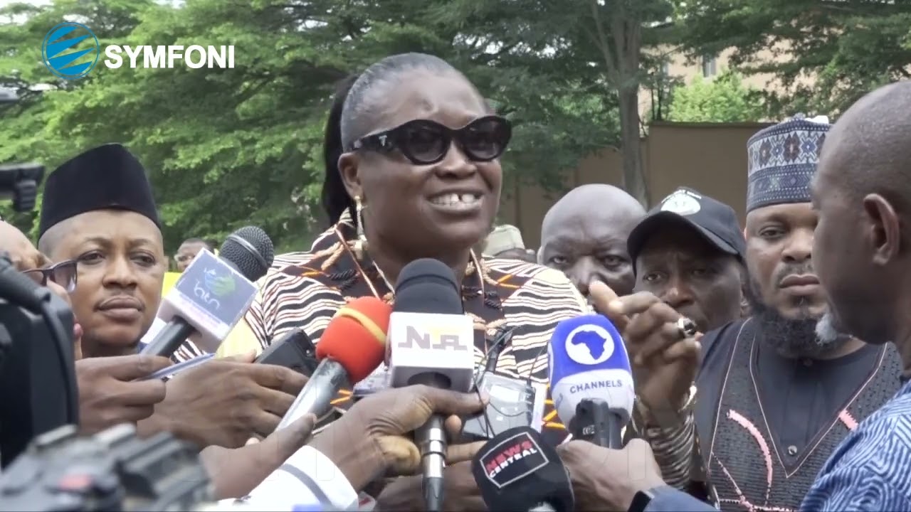 Protesters Storm EU Office In Abuja, Reject Election Report