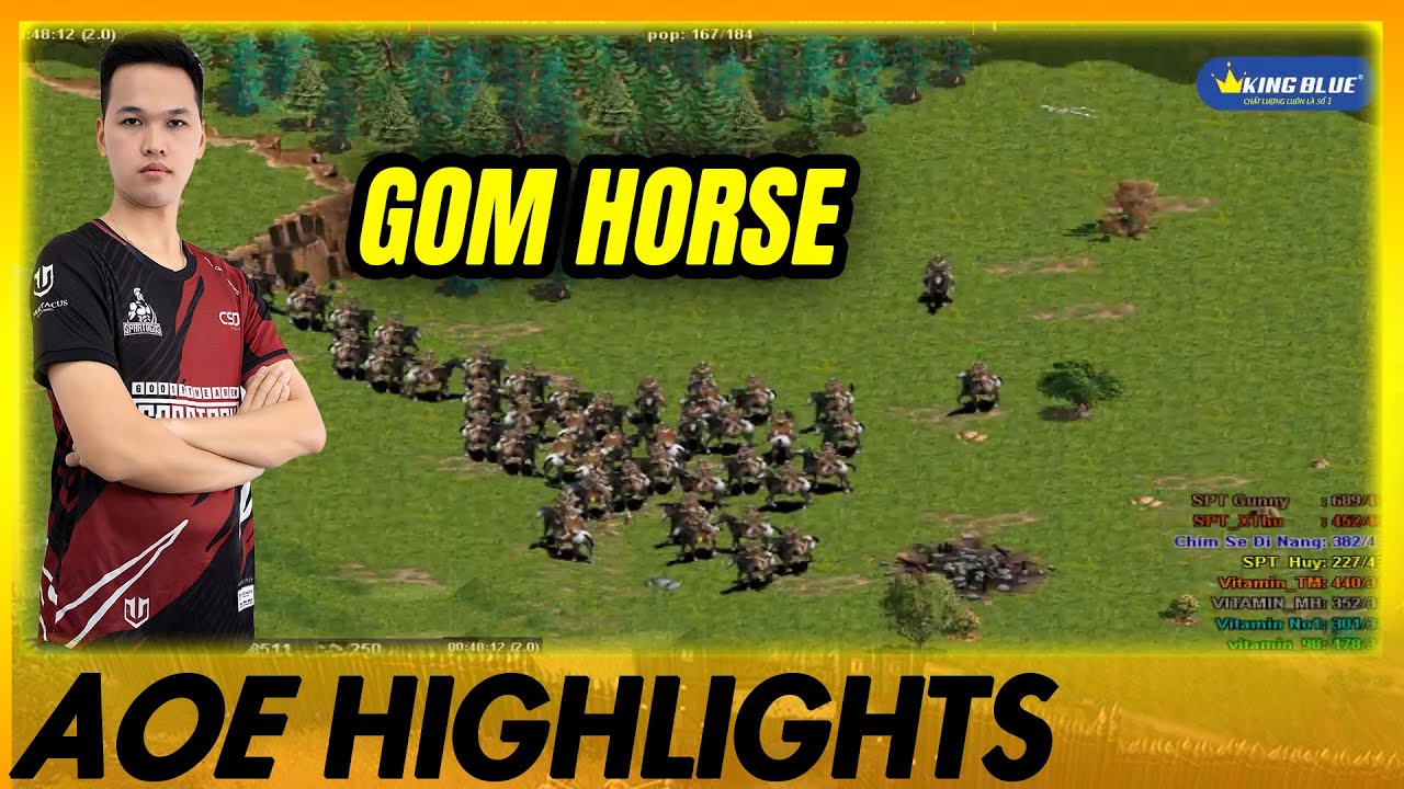 Đánh bằng Horse Thần - SPT đánh thế trận đời 4 Sắc Nét | AoE Highlights #aoe