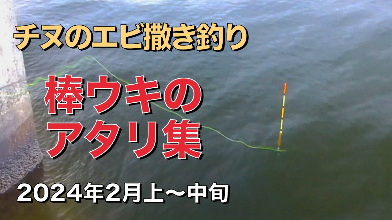 エビ撒き釣りでチヌのアタリ7連発　棒ウキのアタリ集　2024年2月上〜中旬