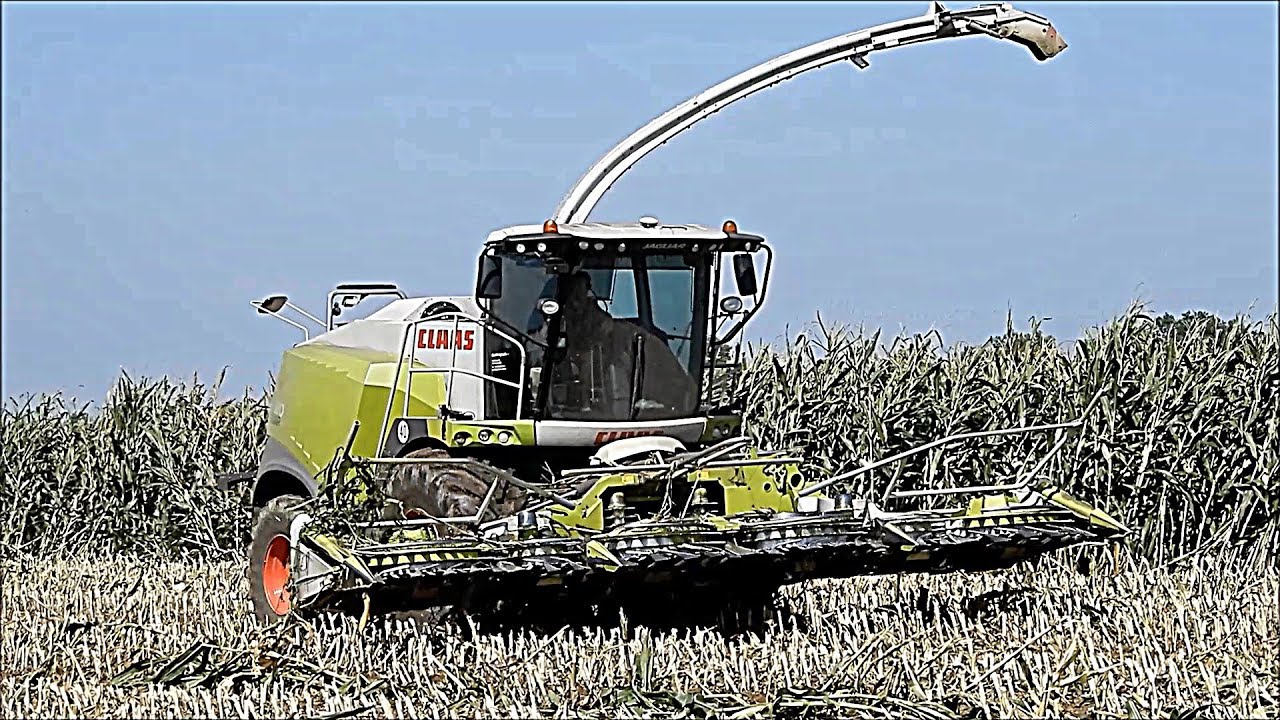 BBF (2017) - CLAAS JAGUAR 970 & 4 FENDT - TRINCIATO MAIS ALLETTATO