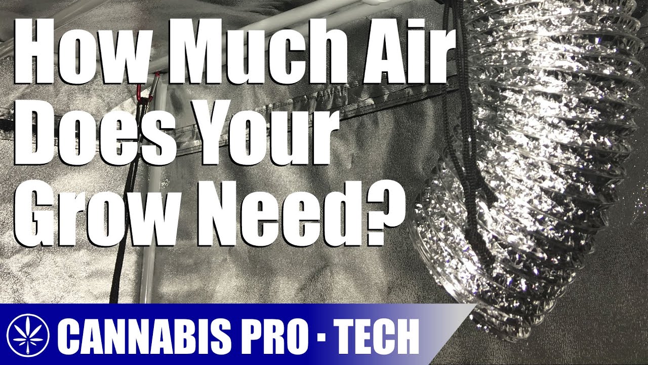 The CFM Your Exhaust Fan Requires for Your Grow Space