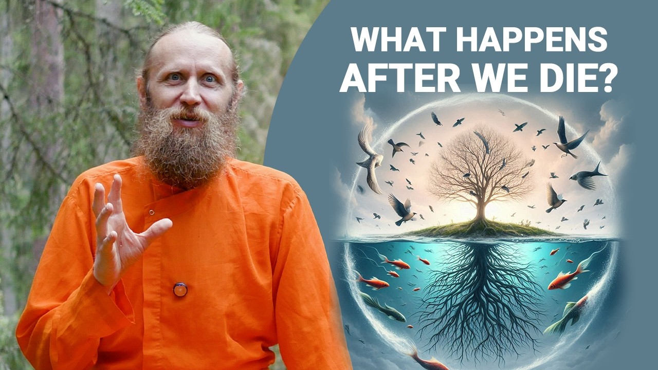 What Happens After We Die?