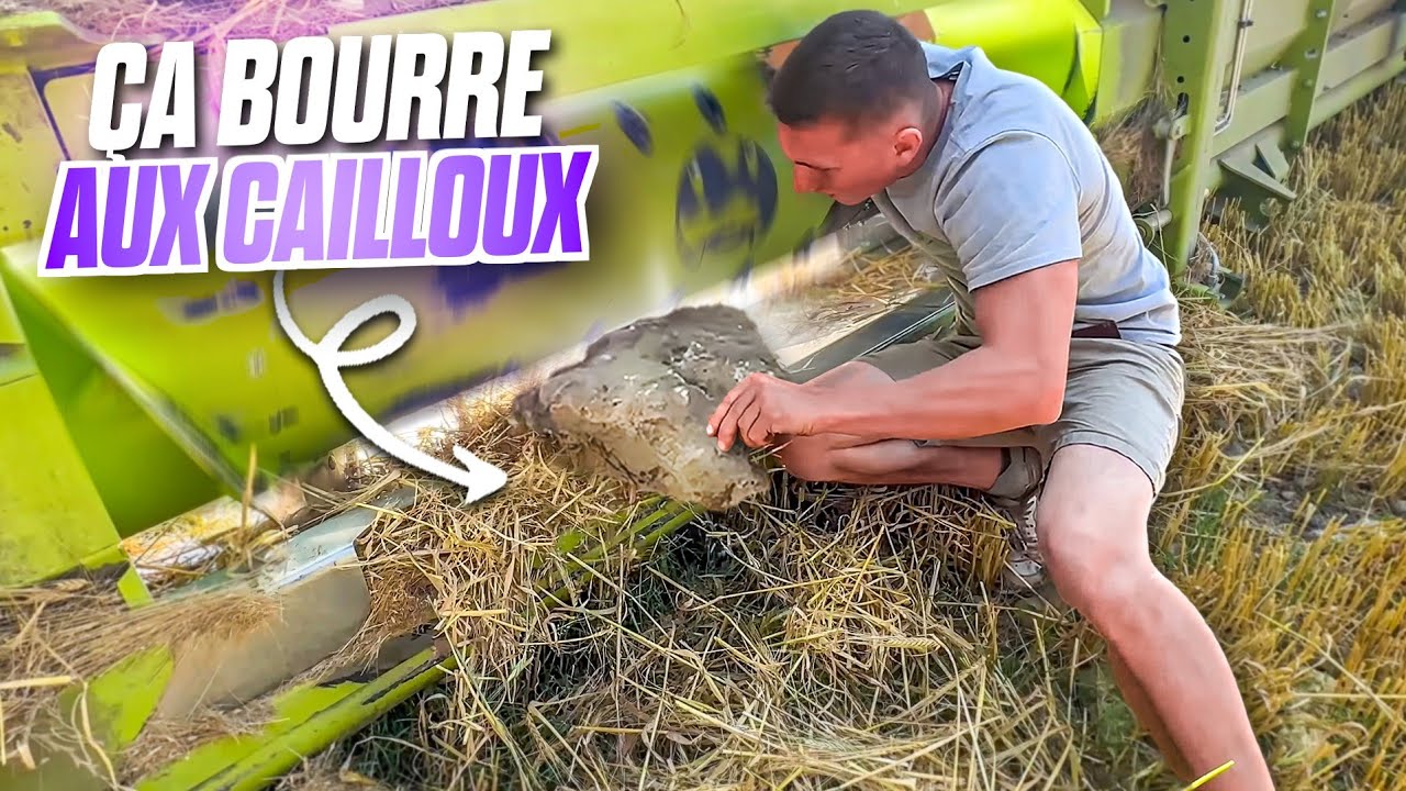 MOISSON ORGE DE RPINTEMPS ET RETOURNAGE DU LIN ! (1 mois dans ma peau 18/30)