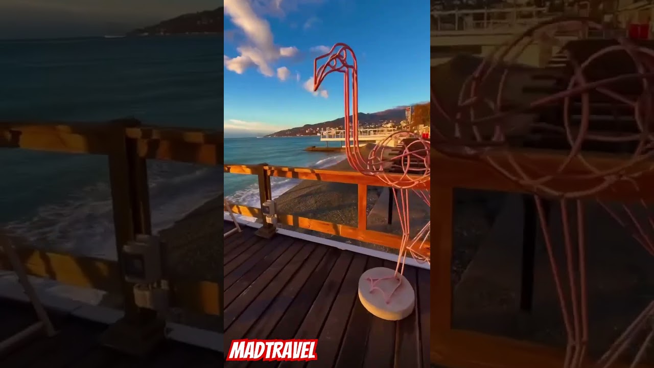 Летние красоты #madtravel #море #travel #beachholiday #лето #nature #отдых #beachtrip