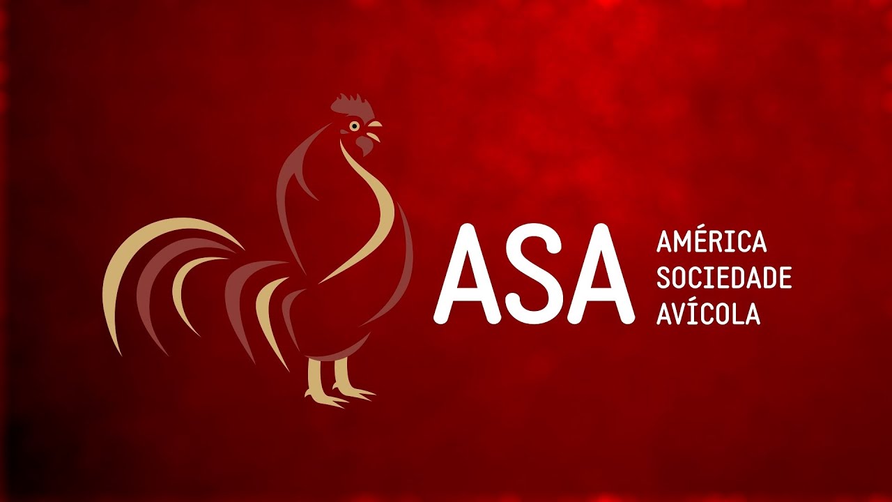 Konce Agência - Inauguração Projeto ASA - Matrizeiro em Vale Verde