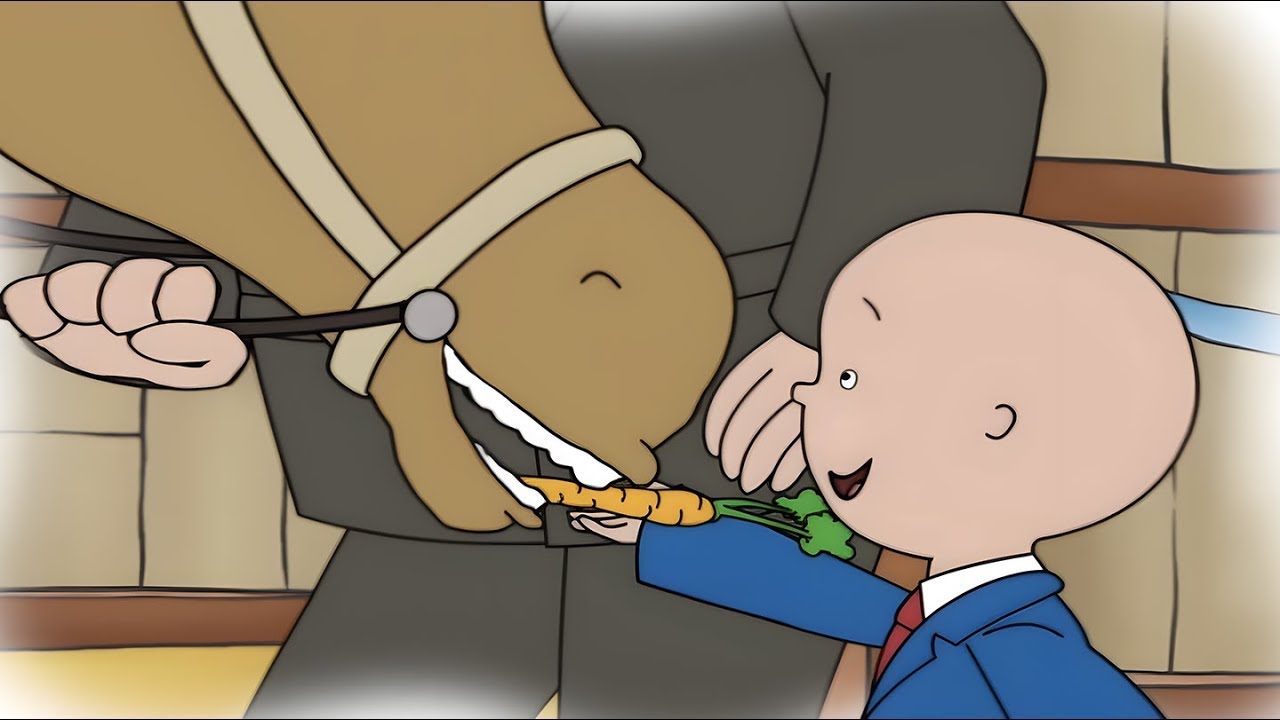 Caillou ontmoet een paard | Caillou Nederlands - WildBrain