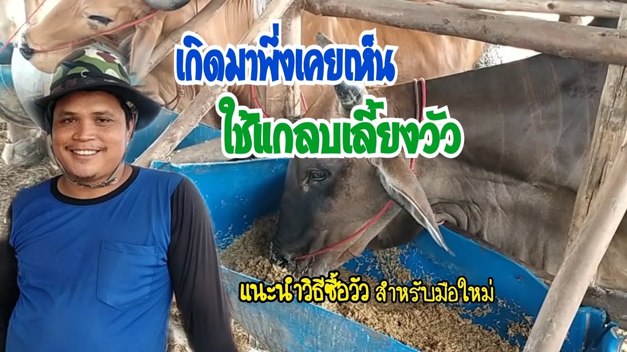 เกิดมาพึ่งเคยเห็น 