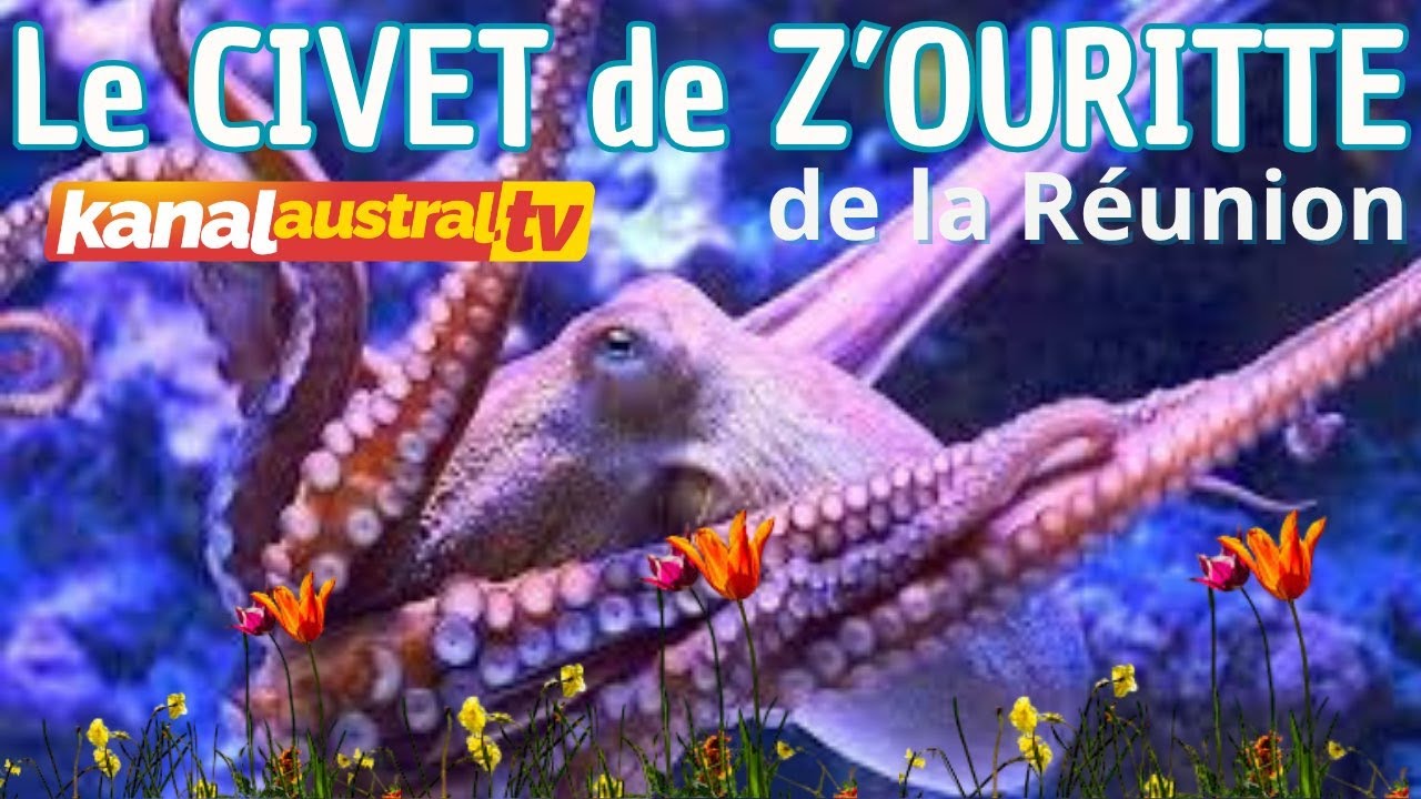 CUSINE- Civet z'ouritte ( Ourite /Octopuc/Poulpe/Pieuvre) chez KANAL AUSTRAL.TV