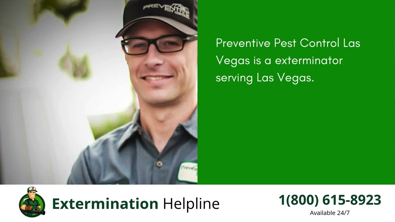 Top 3 Exterminators in Las Vegas