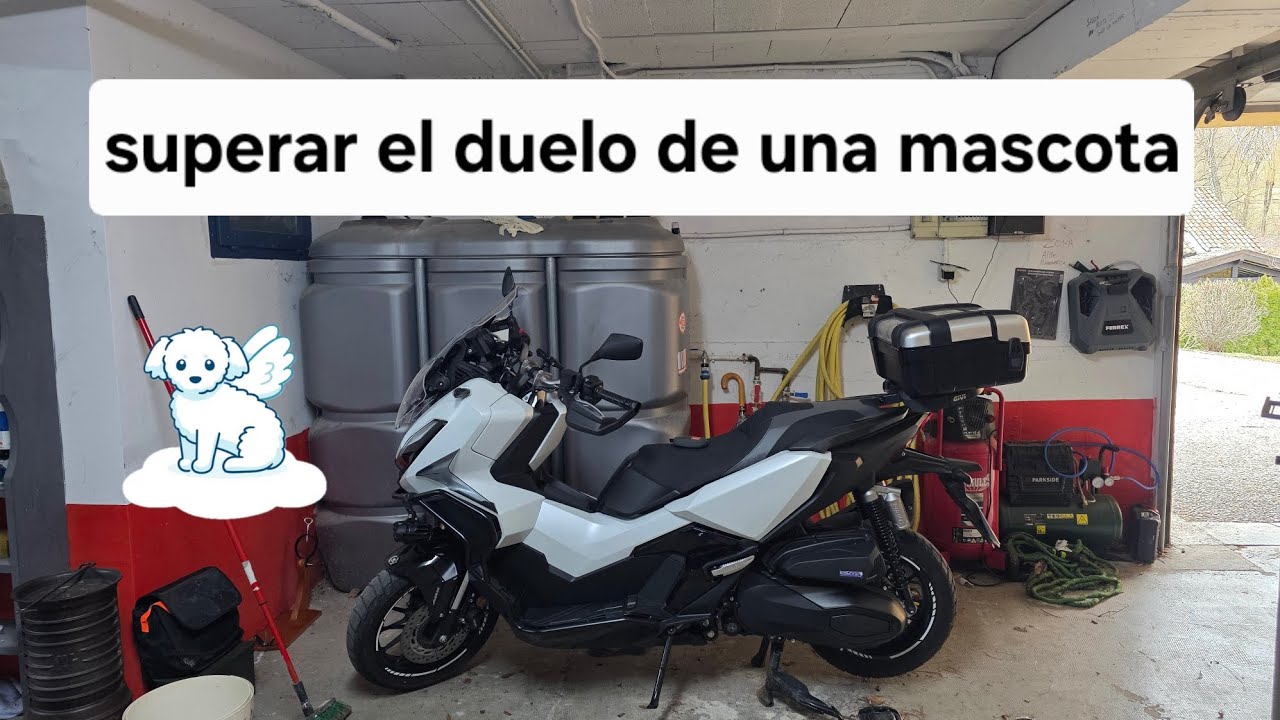 Superar el duelo de una mascota