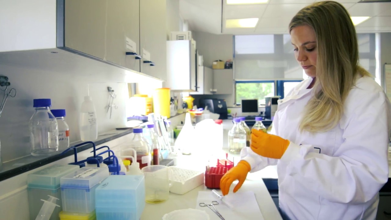 Researcher - Department of Parasitology, Jobfarm Scotland